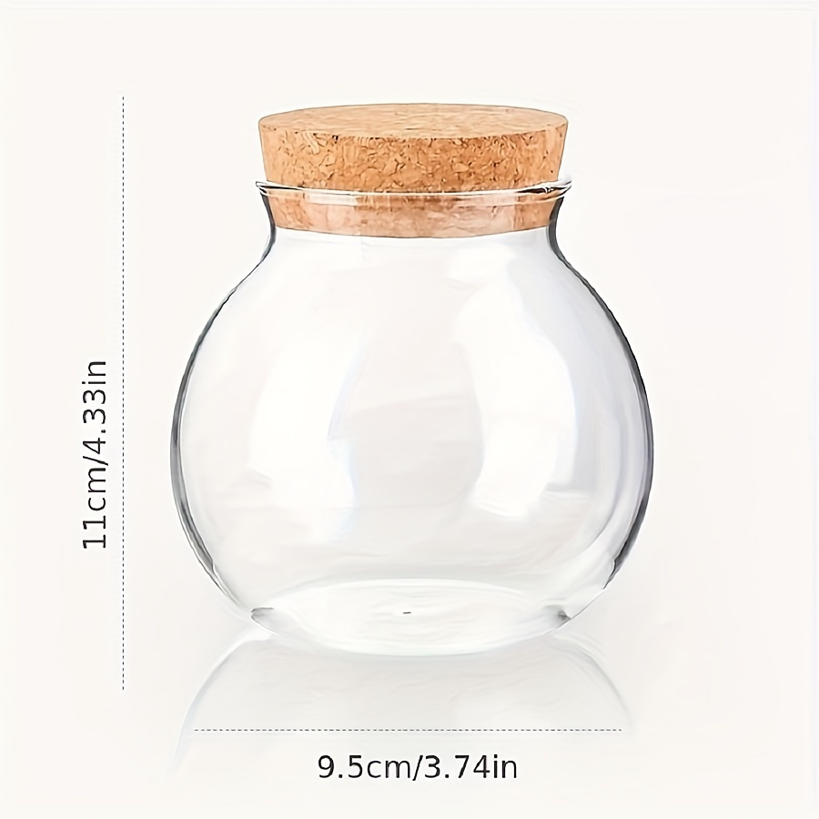 Recipiente de almacenamiento d - Food Storage Glass Box reseña y precio